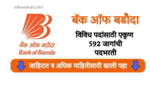 bank of baroda recruitment 2024 