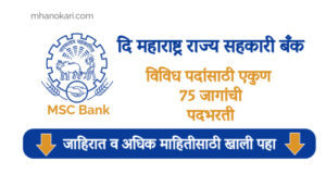 MSC bank job 2024