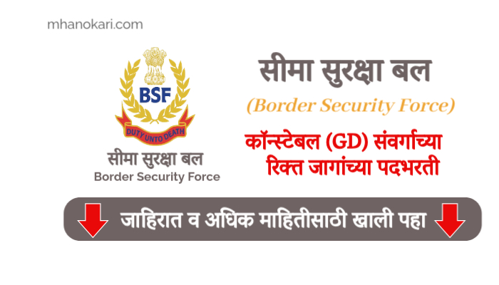 BSF Job 2024