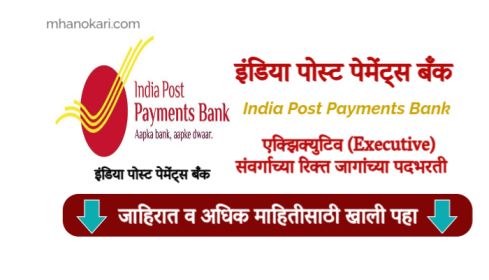 IPPB Executive Bharti 2025