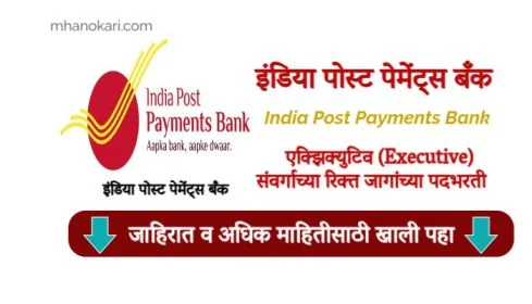 IPPB Executive Bharti 2025